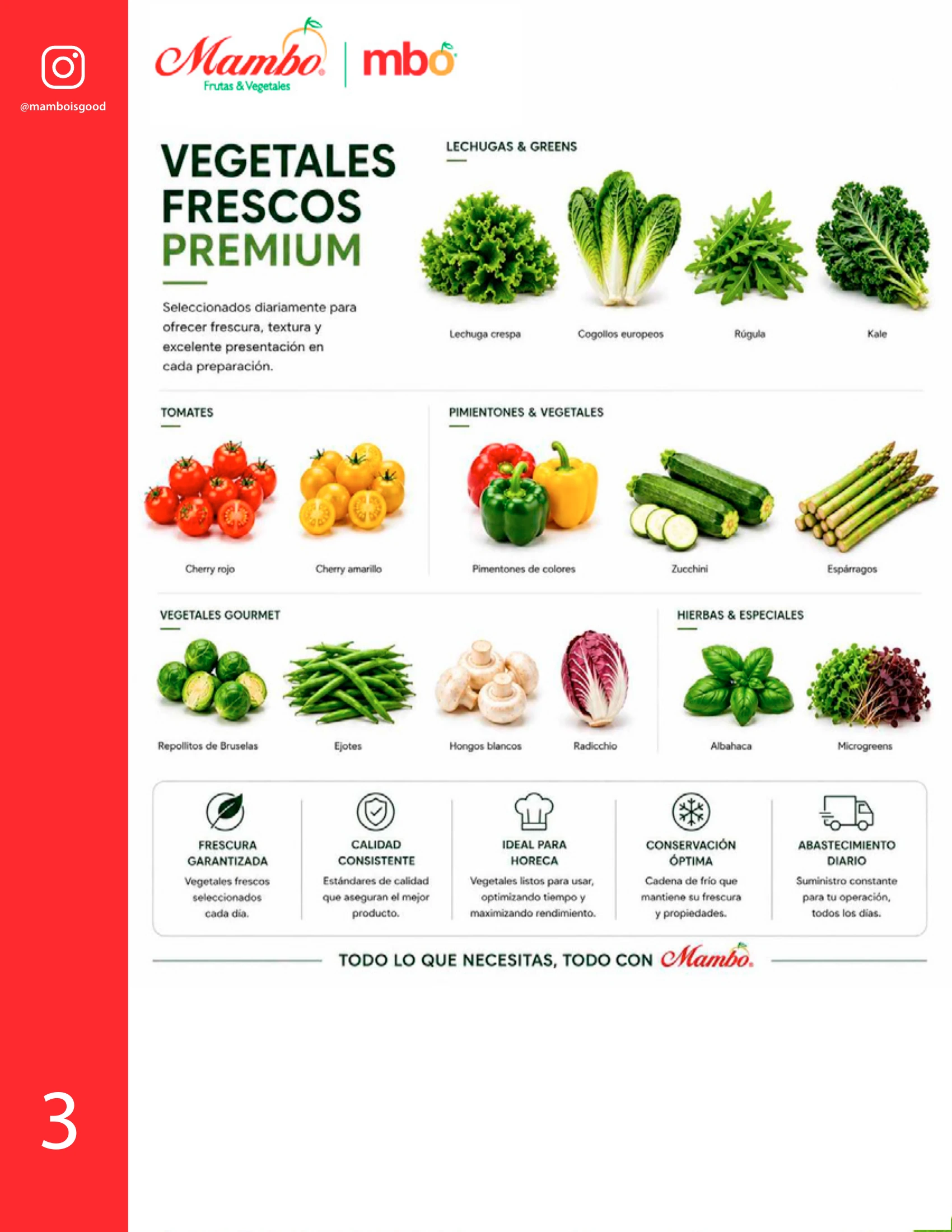 Vegetales frescos premium Mambo