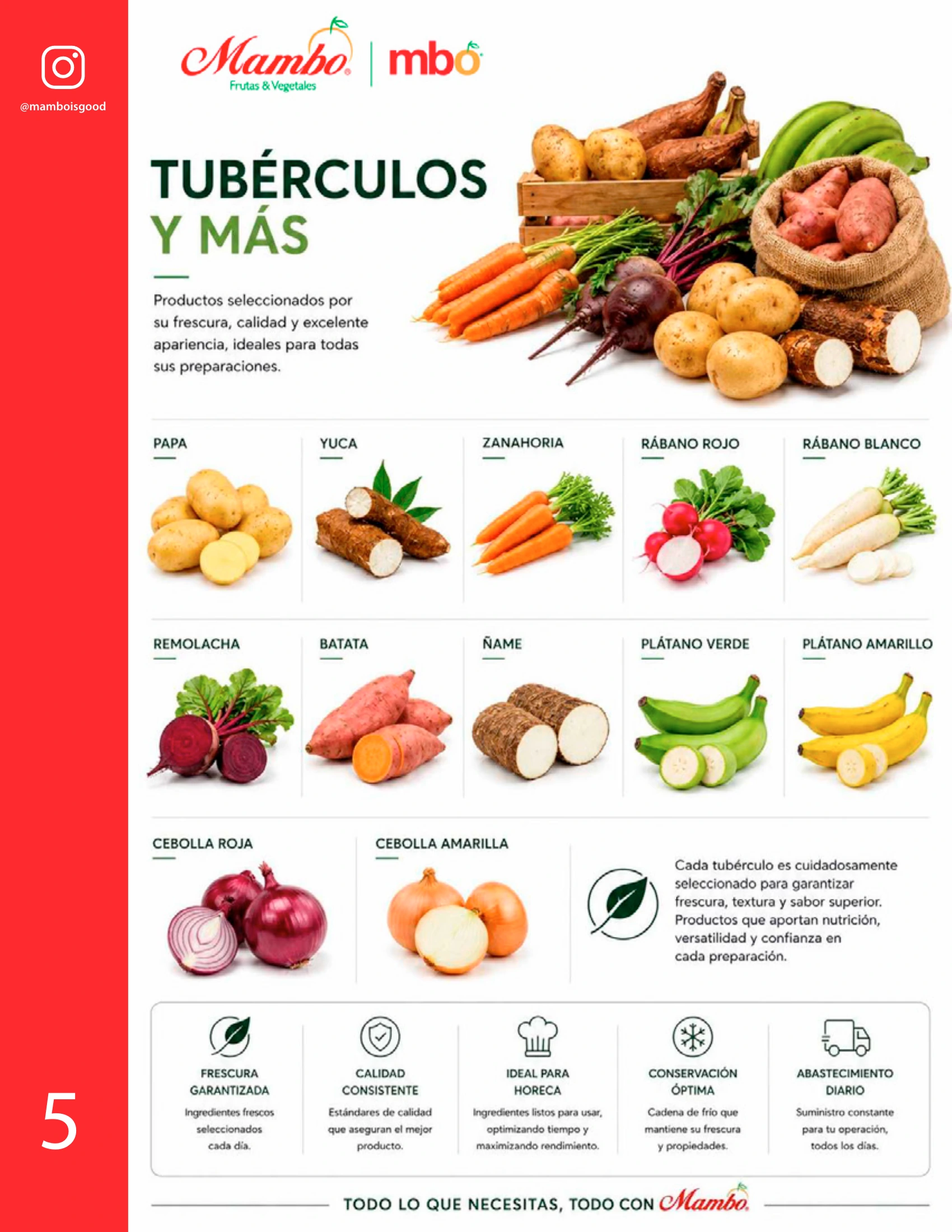 Tubérculos y más Mambo