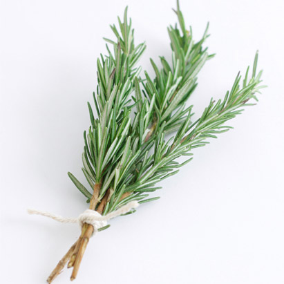 Rosemary