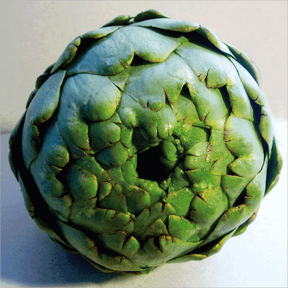 Artichoke
