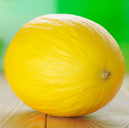 Melon 